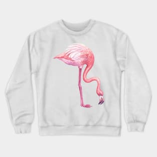 Flamingo 2 Crewneck Sweatshirt